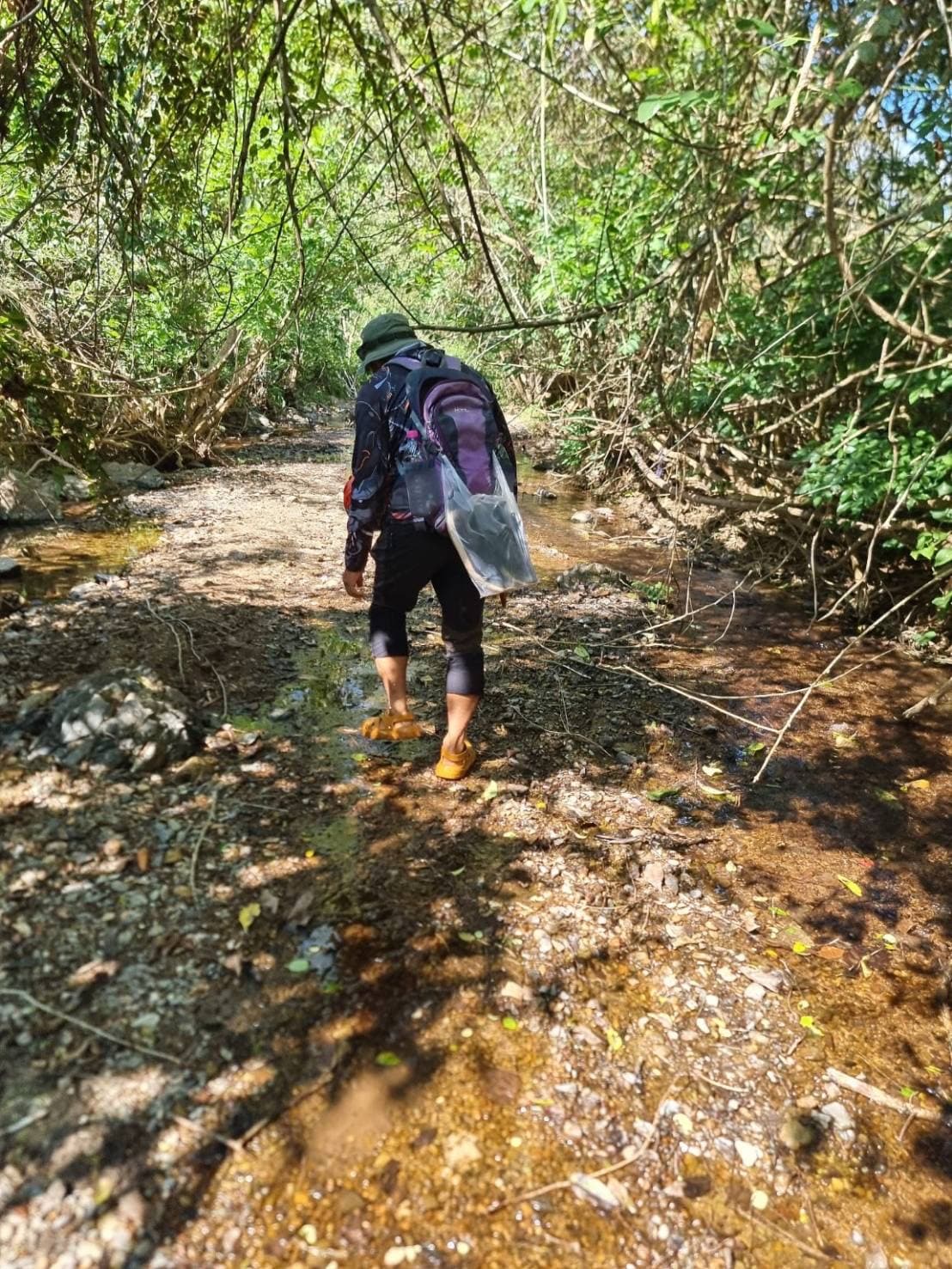 Life on the trail, photo 3