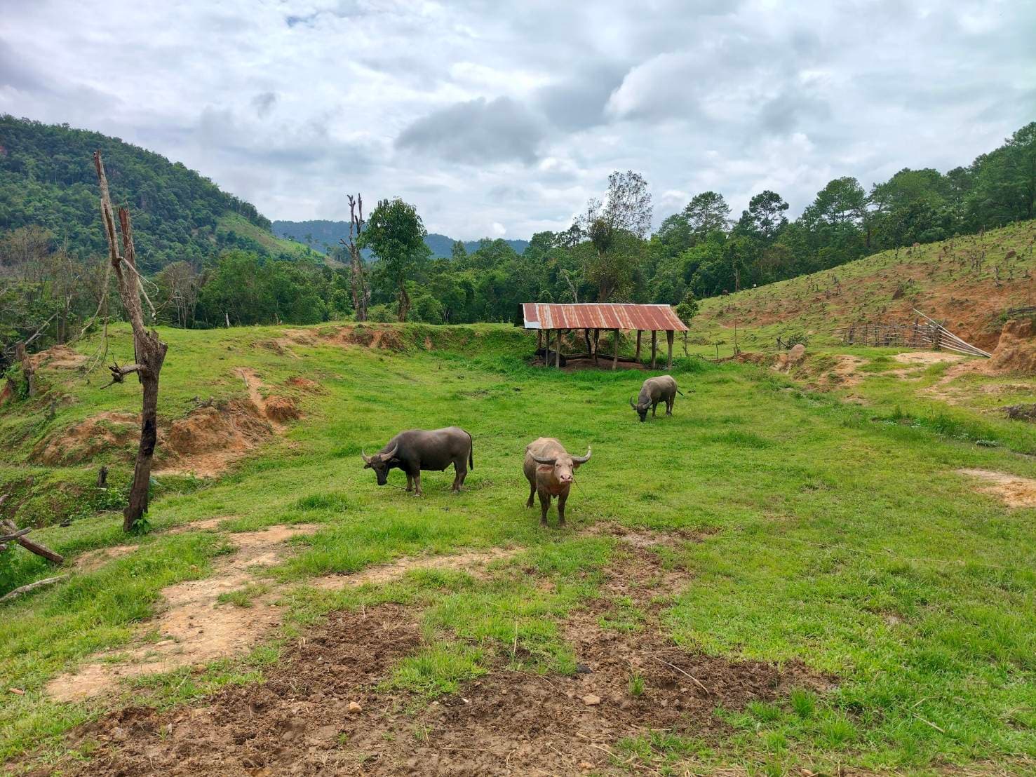 Life on the trail, photo 10