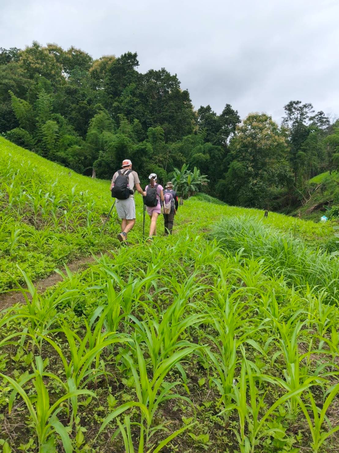 Three Days Trek